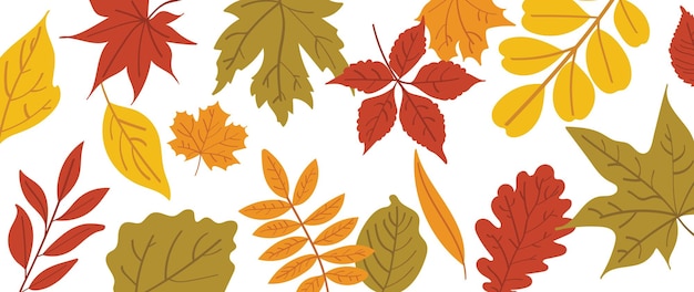 Conjunto de coloridas hojas de otoño y bayas aisladas sobre un fondo blanco Estilo plano de dibujos animados simple