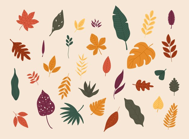 Conjunto de coloridas hojas de otoño Diseño plano moderno concepto de ilustración vectorial