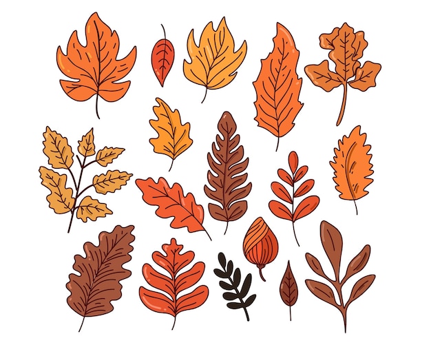 Conjunto de coloridas hojas de otoño en la ilustración de vector de estilo doodle