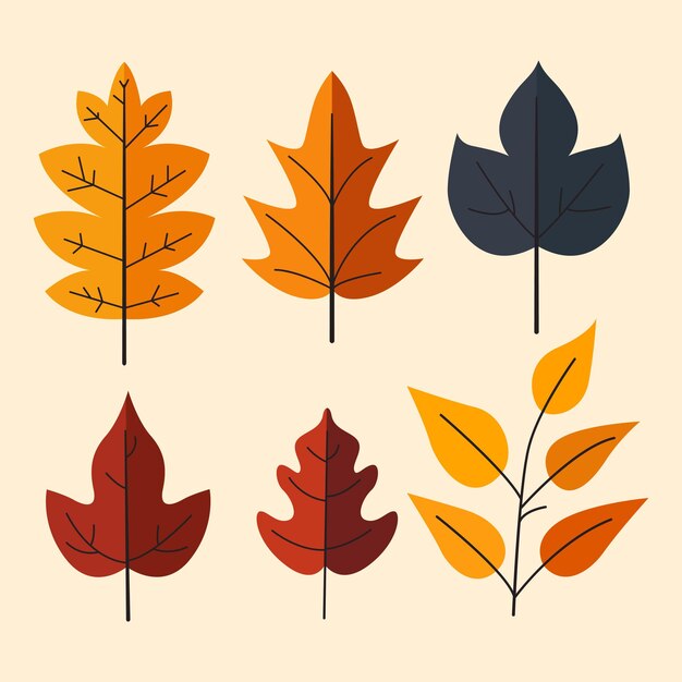 Conjunto de coloridas hojas de otoño Ilustración vectorial de estilo plano de dibujos animados