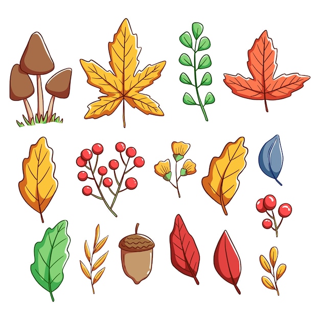 conjunto de coloridas hojas de otoño o elementos de dibujo a mano