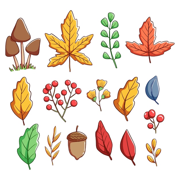 Conjunto de coloridas hojas de otoño o elementos de dibujo a mano | Vector  Premium