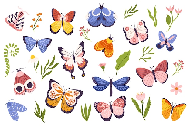 Vector conjunto de coloridas mariposas y polillas, cada una única en tamaño, forma y color que representa la belleza y la diversidad