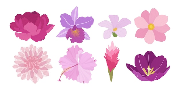 conjunto, de, colorido, florecer, flores, ilustración