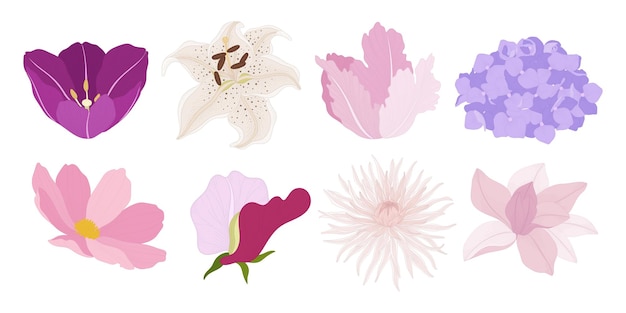 conjunto, de, colorido, florecer, flores, ilustración