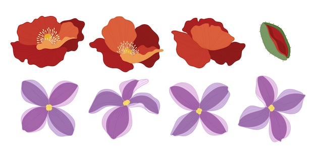 Vector conjunto, de, colorido, florecer, flores, ilustración