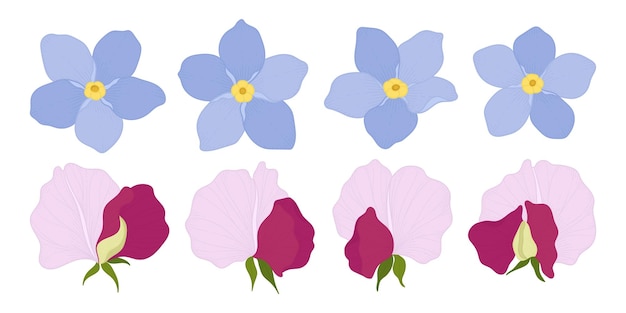 Vector conjunto, de, colorido, florecer, flores, ilustración