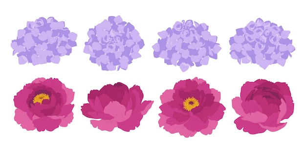 Vector conjunto, de, colorido, florecer, flores, ilustración