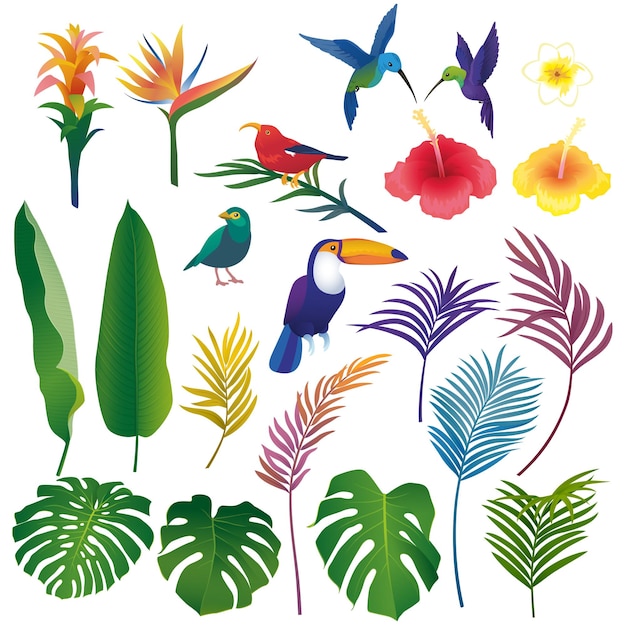 Vector conjunto colorido de hojas tropicales aisladas flores y pájaros de hawai sobre fondo blanco