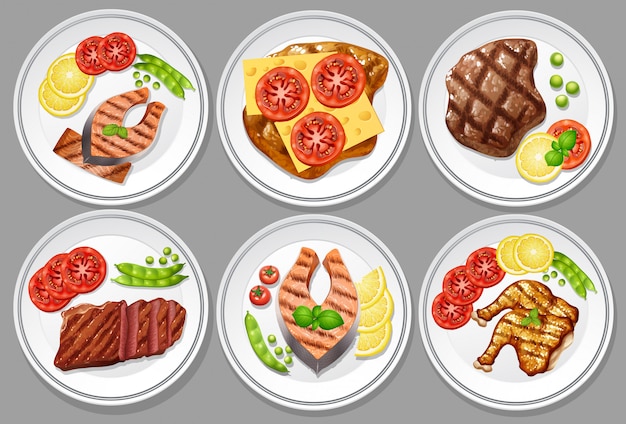 Vector un conjunto de comida alta protine