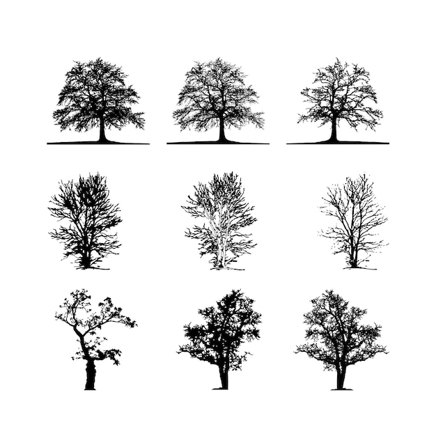 Conjunto completo de silueta de árboles vectoriales