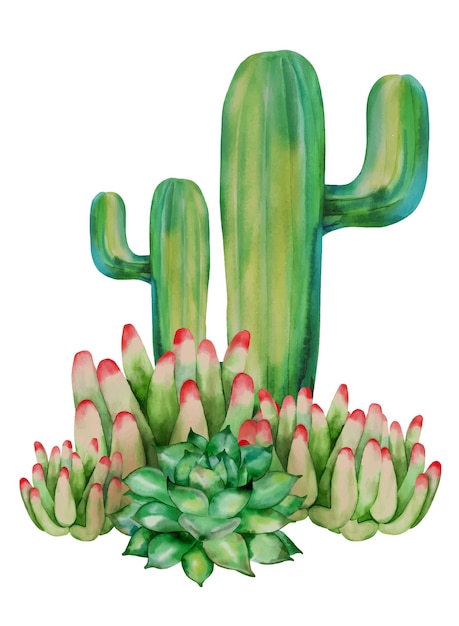 Conjunto de composición de cactus