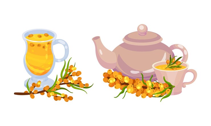 Vector conjunto de composición vectorial de bayas de espino marino con tetera y taza con bebida caliente