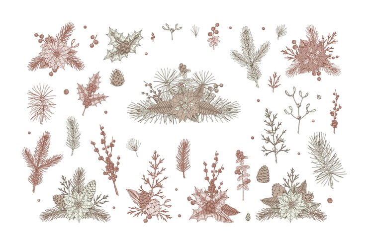 Vector conjunto de composiciones y elementos florales navideños.