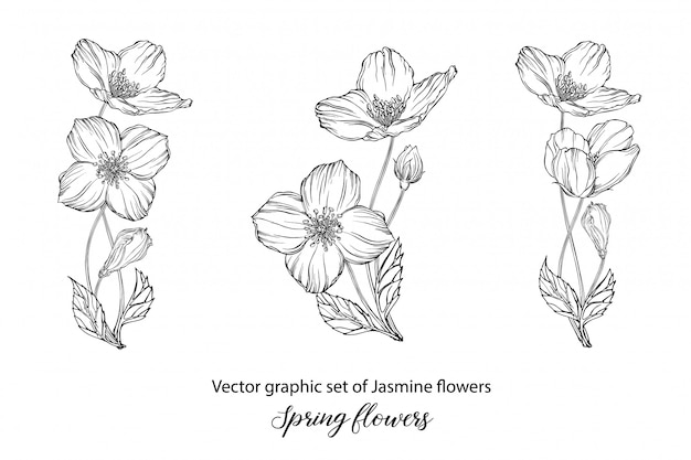 Un conjunto de composiciones gráficas de flores con flores.