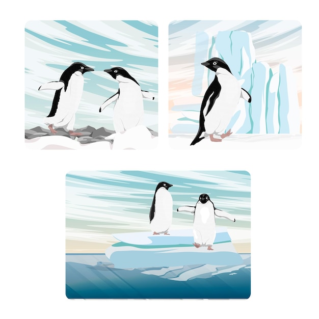 Conjunto de composiciones con pingüino Adelia Aves del Polo Sur Paisaje vectorial realista
