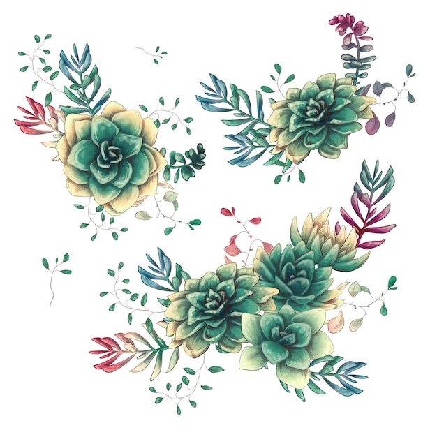 Conjunto de composiciones de suculentas florales en estilo de dibujo a mano.