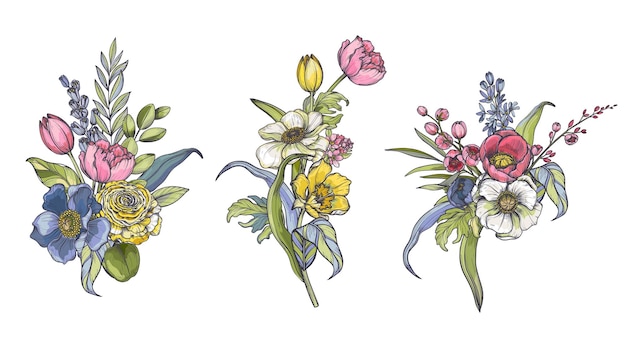 Vector conjunto de composiciones vectoriales de flores de primavera hojas y ramas diferentes flores tulipanes anémonas y otras plantas en hermosos ramos