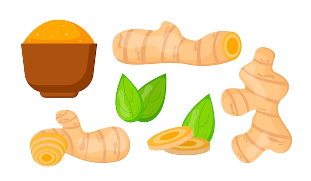 Conjunto de concepto de cúrcuma producto natural y orgánico postre vegetal y manjar comida saludable y
