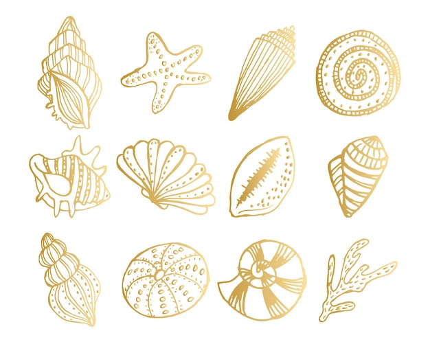 Conjunto de conchas doradas de contorno. Conchas dibujadas a mano. Elementos de decoración, vector