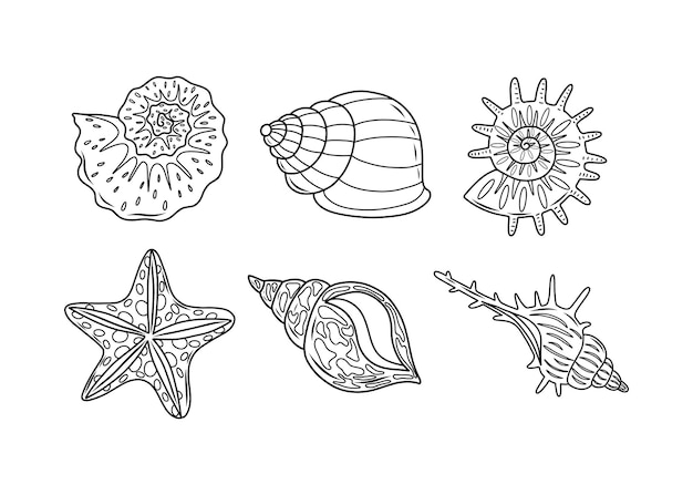 Un conjunto de conchas y estrellas de mar de varias formas ilustración vectorial dibujo de contorno de aislados