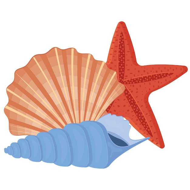 Un conjunto de conchas marinas de colores. Ilustración de vector aislado sobre un fondo blanco