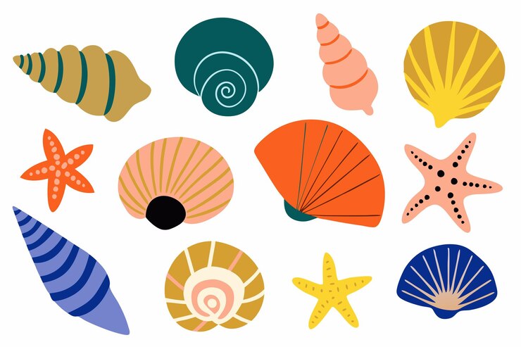 Vector conjunto de conchas marinas de colores moluscos caracoles marinos estrellas de mar ilustración plana sobre fondo blanco