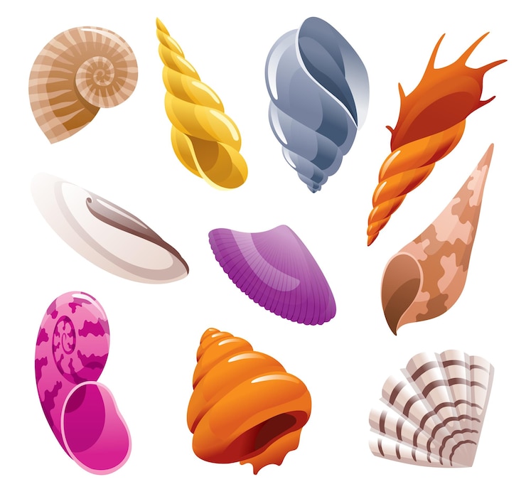 Vector conjunto de conchas marinas coloridos iconos submarinos de conchas tropicales vida marina de dibujos animados concepto de símbolo de verano con conchas marinas