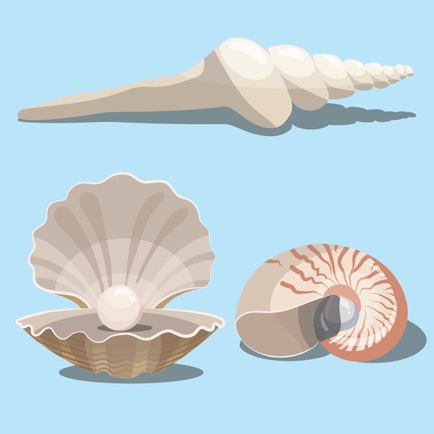 Conjunto de conchas marinas de dibujos animados. Una colección de conchas marinas con perlas. Ilustración de moluscos.