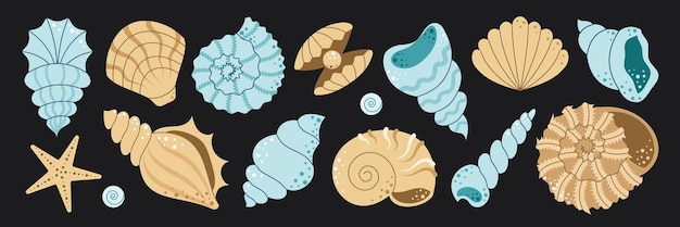 Conjunto de conchas marinas estrellas de mar molusco playa submarina tropical océano exótico ilustración vectorial plana