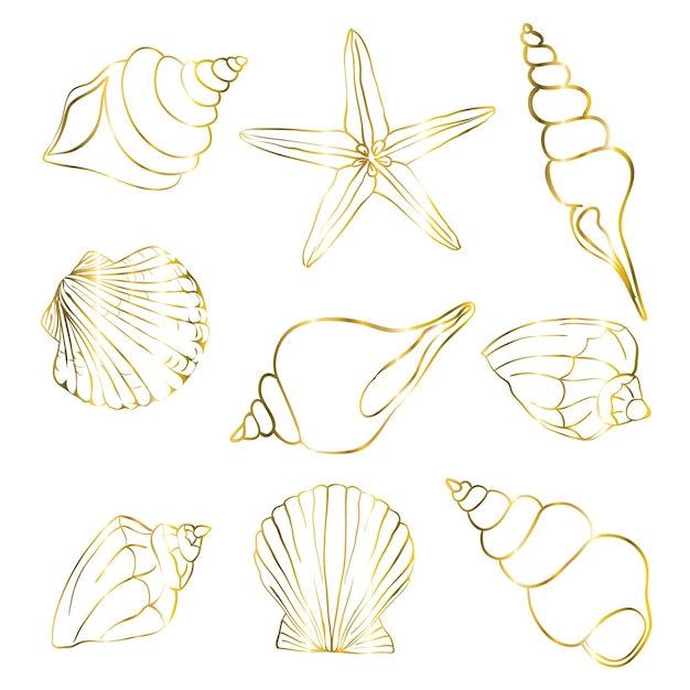 Conjunto de conchas de oro de estrellas de mar sobre un fondo blanco Ilustración vectorial