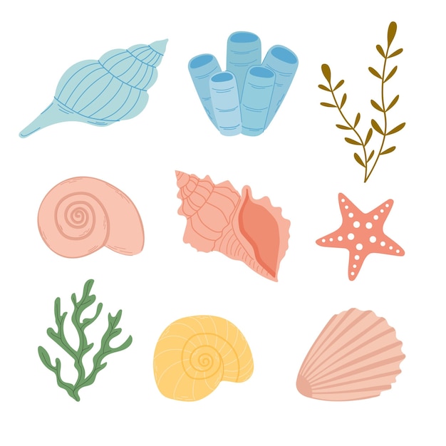 Conjunto de conchas planas Ilustración plana sobre un fondo blanco Conjunto vectorial para diseñar pegatinas de verano