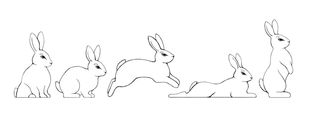 Conjunto de conejos dibujados Ilustración vectorial en blanco y negro