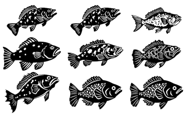 Vector conjunto de conjunto de peces de mero icono de ilustración de peces de mero de vector