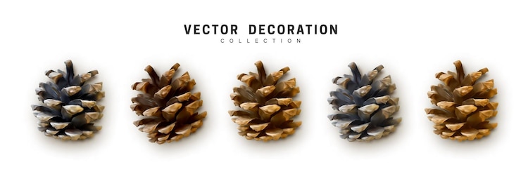 Vector conjunto de conos de pino, cono de abeto y coníferas. diseño 3d realista. ilustración vectorial