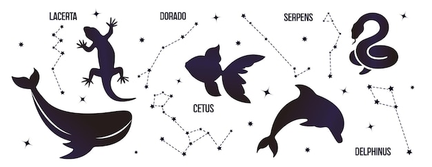 Conjunto de constelaciones de animales salvajes aislados sobre un fondo blanco