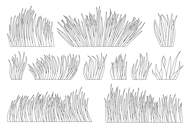 Vector conjunto de contorno de césped orgánico natural de hierba página de libro para colorear pradera de hierbas de verano planta ecológica arbusto separado fresco césped de hierbas lineal de forma diferente icono de línea de hojas verdes borde de paisaje de follaje