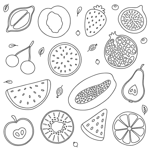 Vector conjunto de contorno grande de fruta vectorial. producto agrícola para restaurante, menú, mercado, etiqueta.