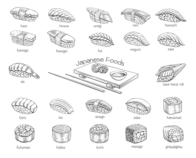 Vector conjunto de contorno de rollos de sushi. comida japonesa para el menú de la barra de la tienda de rollos de sushi, pancarta, folleto, tarjeta, etc.