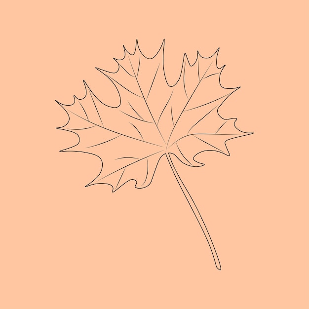 Conjunto de contornos de hojas dibujadas a mano Ilustración vectorial en el fondo de otoño