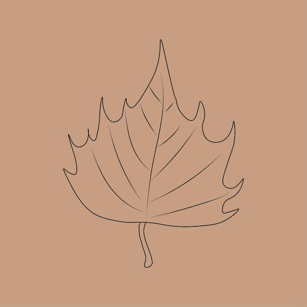 Conjunto de contornos de hojas dibujadas a mano Ilustración vectorial en el fondo de otoño