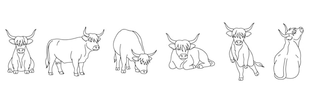 Conjunto de contornos vectoriales dibujados a mano Iconos de vacas de las tierras altas en varias poses Esbozos de animales de granja rústicos