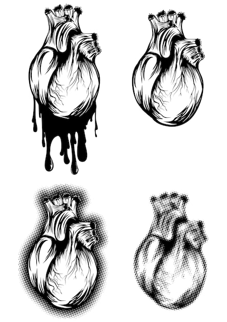 Conjunto de corazón humano de ilustración vectorial abstracta
