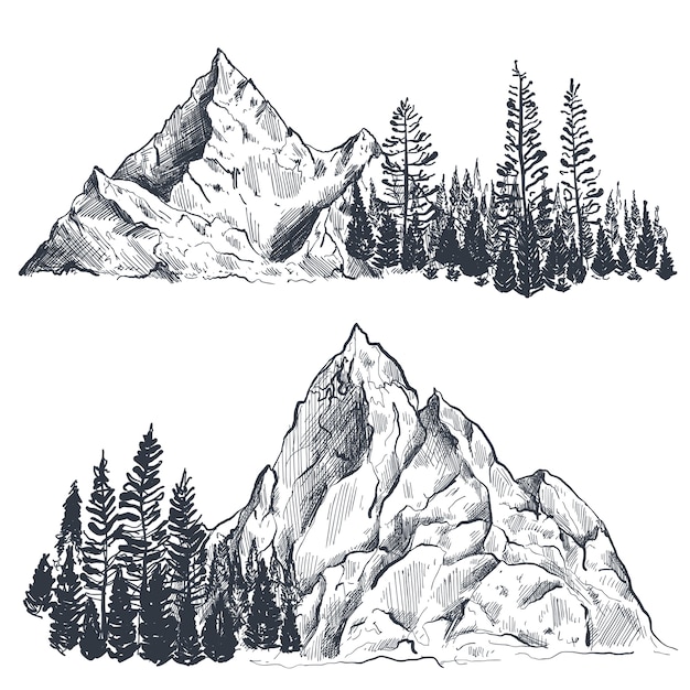 Conjunto de cordilleras gráficas dibujadas a mano con bosque de pinos paisaje natural