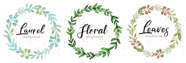 Vector conjunto de corona de laurel y hojas de acuarela