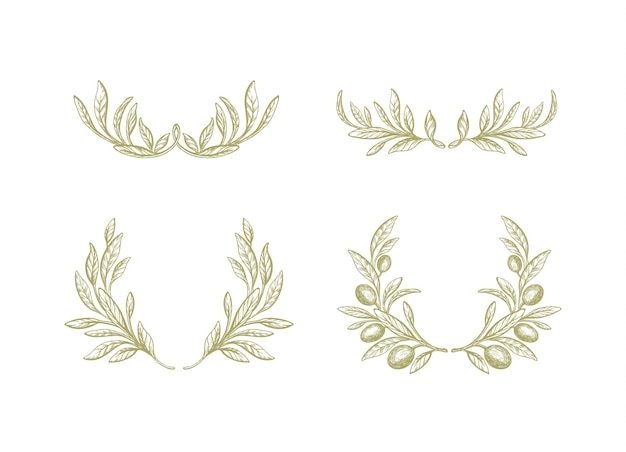 Conjunto de corona de olivo Patrón vintage de follaje verde Rama de textura de arte Ornamento griego de vector