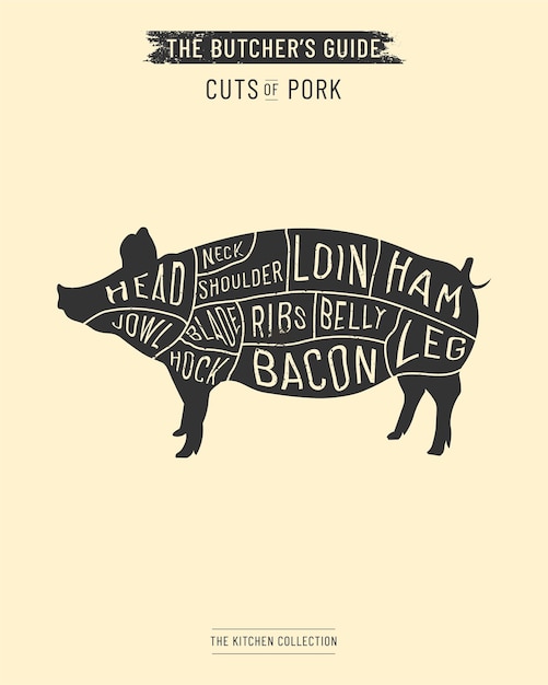 Conjunto de corte de carne de cerdo Póster Esquema de diagrama de carnicero y guía Ilustración dibujada a mano