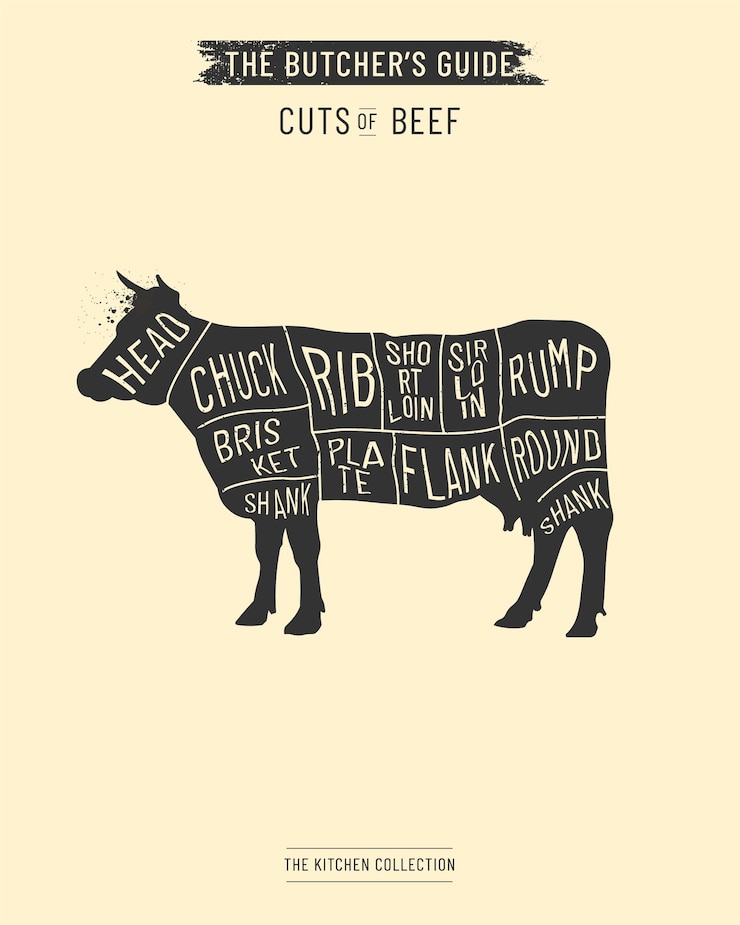Vector conjunto de corte de carne de res póster esquema de diagrama de carnicero y guía ilustración dibujada a mano