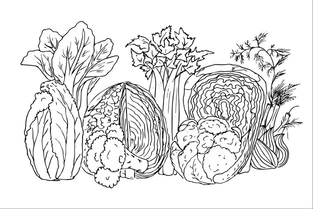 Conjunto de cosecha de otoño, frutas, verduras, champiñones, bayas, canasta, flores y hojas son garabatos.