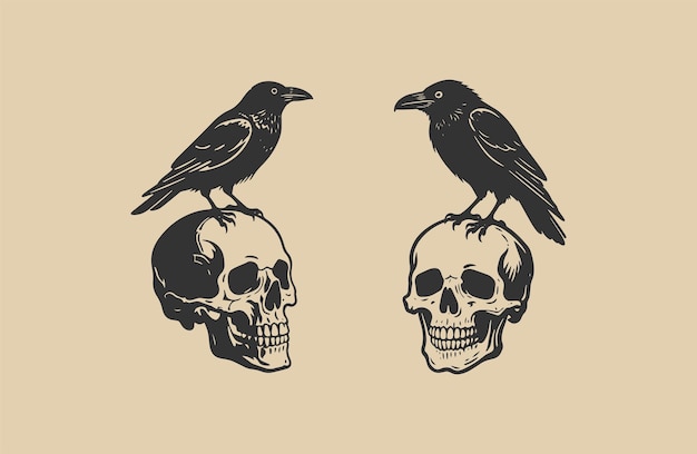 Conjunto de cráneo de cabeza y estilo de grabado de cuervo ilustración de diseño de logotipo